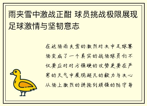 雨夹雪中激战正酣 球员挑战极限展现足球激情与坚韧意志