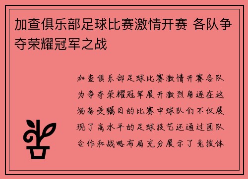 加查俱乐部足球比赛激情开赛 各队争夺荣耀冠军之战