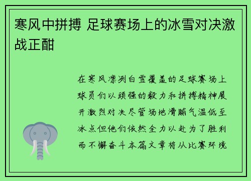 寒风中拼搏 足球赛场上的冰雪对决激战正酣