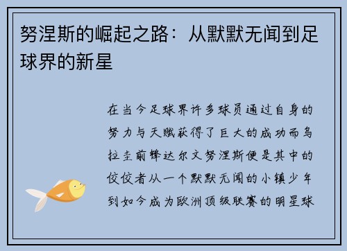 努涅斯的崛起之路：从默默无闻到足球界的新星
