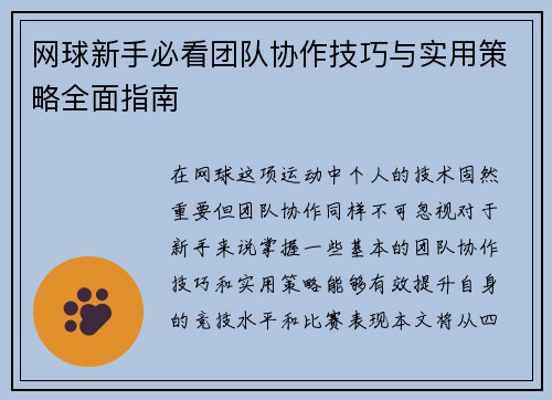 网球新手必看团队协作技巧与实用策略全面指南