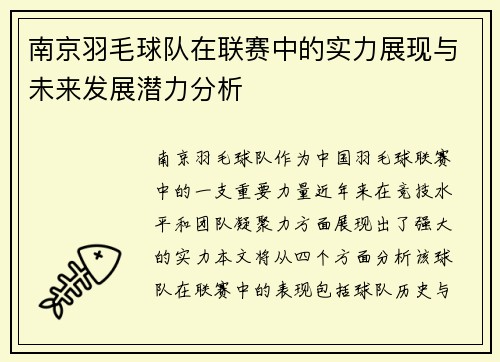 南京羽毛球队在联赛中的实力展现与未来发展潜力分析